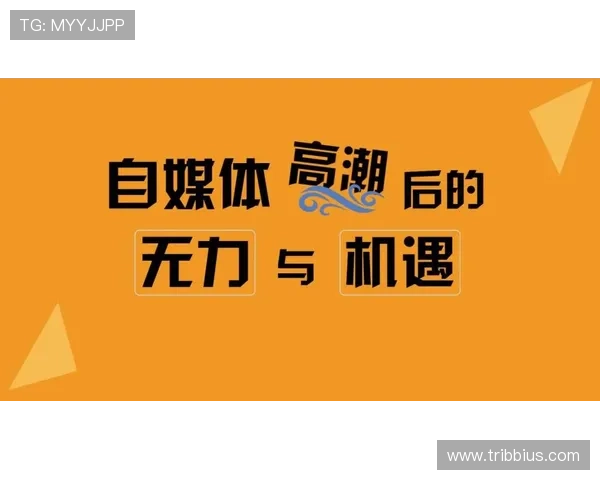 新手必看：老虎机怎么开机的完整操作方法和注意事项