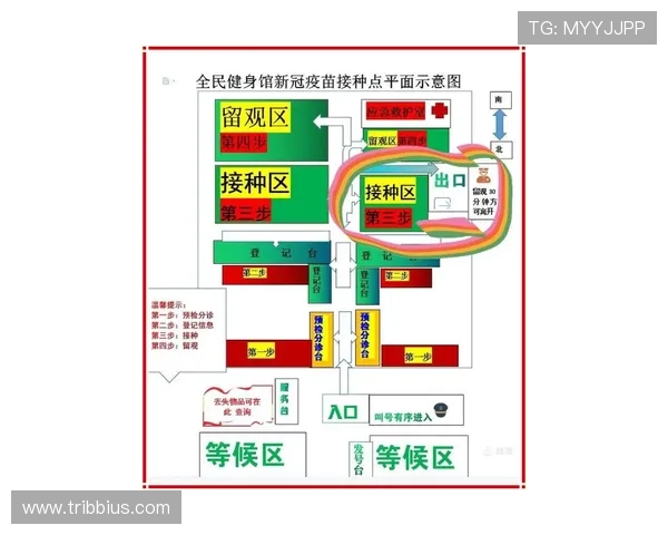 全面解析老虎机购买流程与注意事项让新手玩家快速掌握购买技巧 全面解析老虎机购买流程与注意事项让新手玩家快速掌握购买技巧