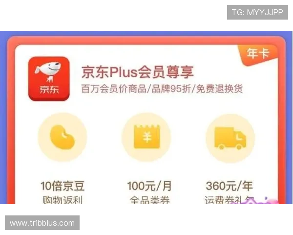 掌握老虎机攻略赢钱技巧实现持续盈利的关键策略解析