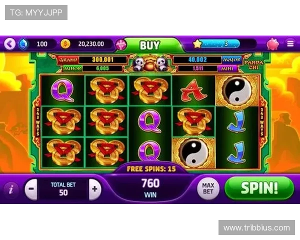 老虎机接线故障排查与修复的实用经验分享