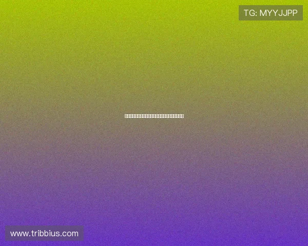 世界杯期间三公扑克比赛规则与精彩瞬间回顾与分析